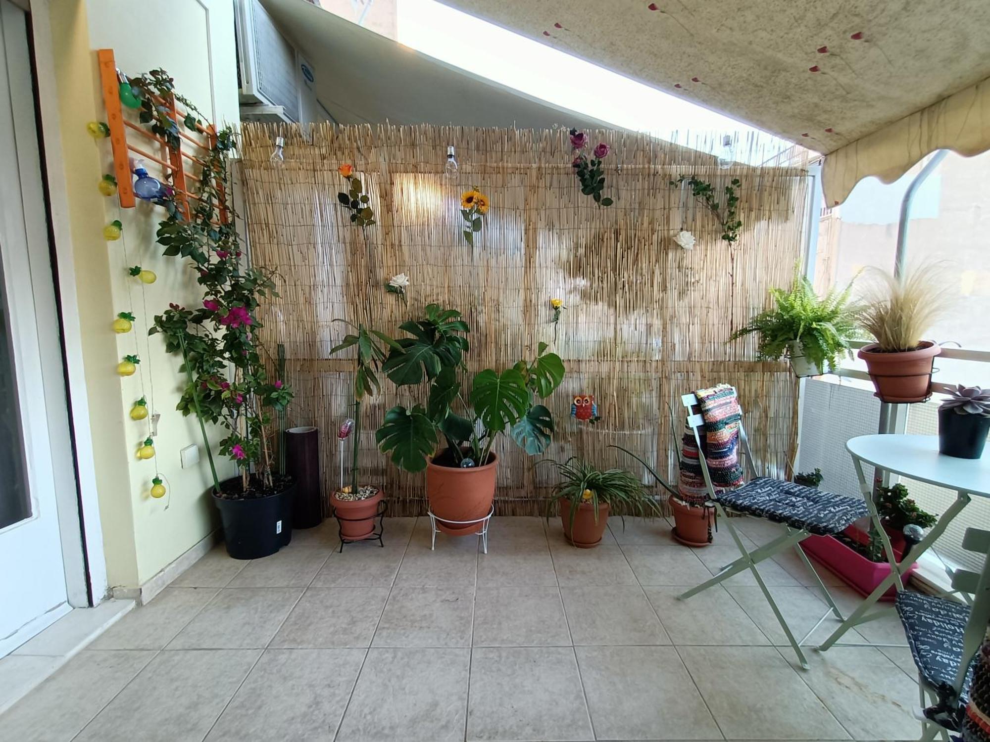 Apartment Sunny
