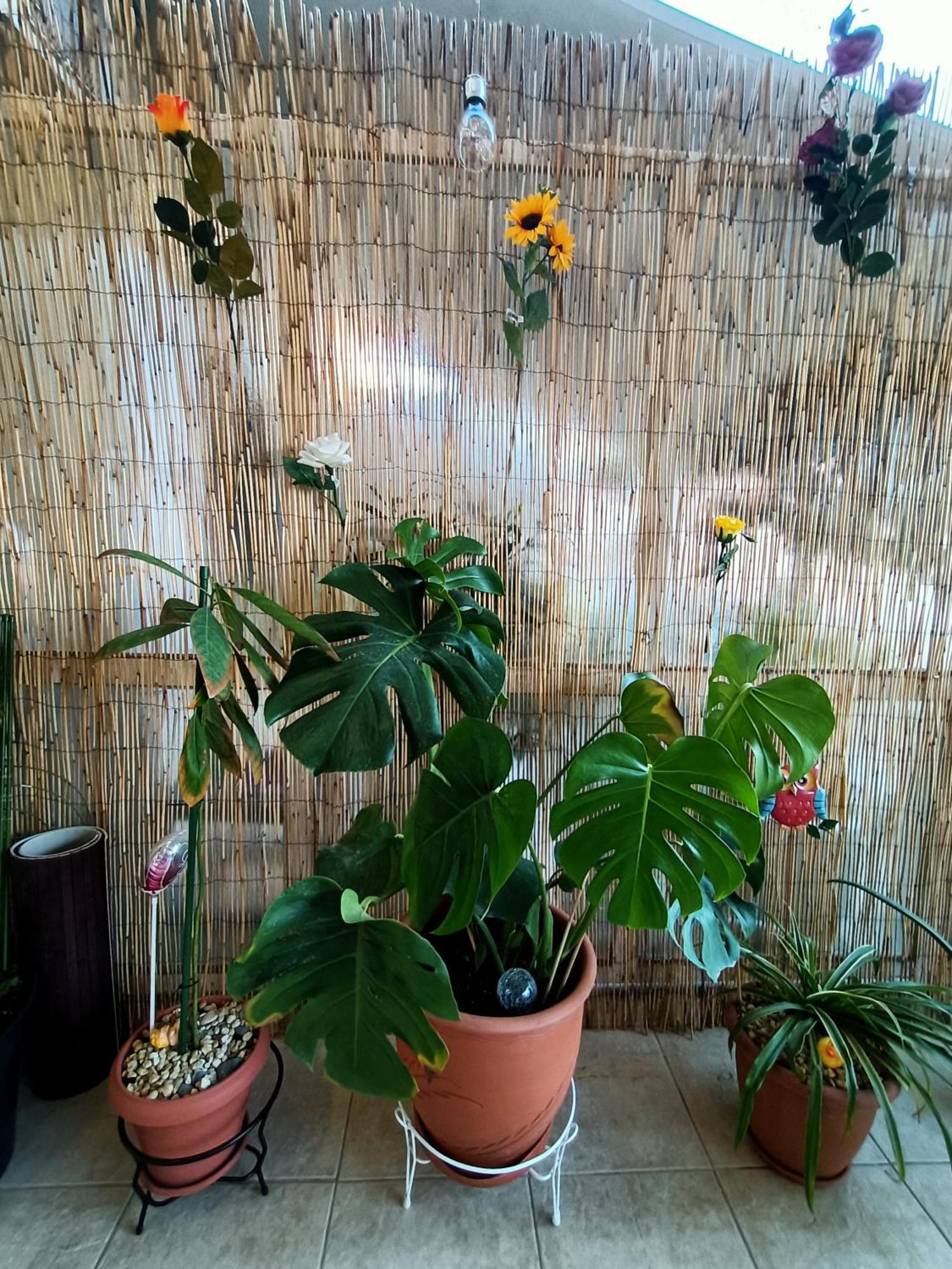Sunny Apartment